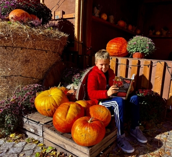 IMG-20251019-WA0030(1)