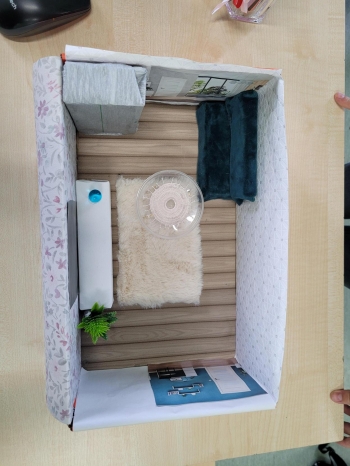 Multimedia - 2025-12-29T221004.253