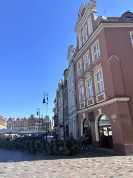 IMG_8925.jpeg