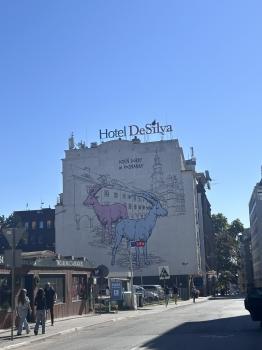 IMG_8909.jpeg