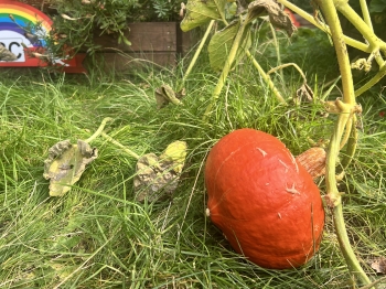 IMG_5734.JPEG