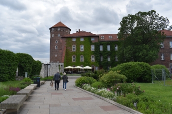 DSC_0389.JPG