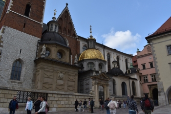 DSC_0380.JPG