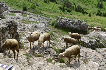 DSC_0357.JPG