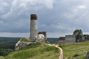 DSC_0355.JPG