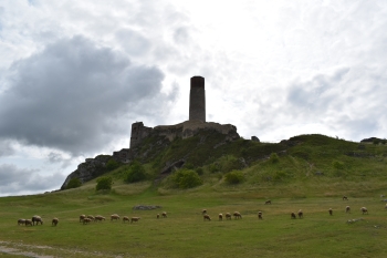 DSC_0349.JPG