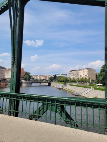 shared image (52).jpeg