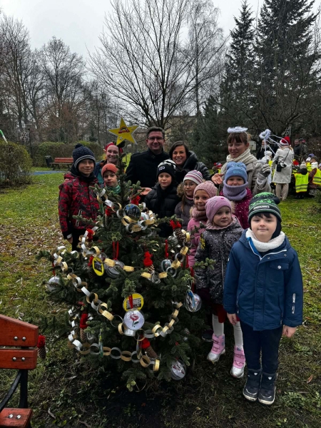 „Aleja choinkowa”