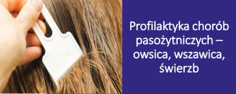 Profilaktyka Chorób Pasożytniczych Owsica Wszawica świerzb Szkoła Podstawowa Im Dr Henryka 3042