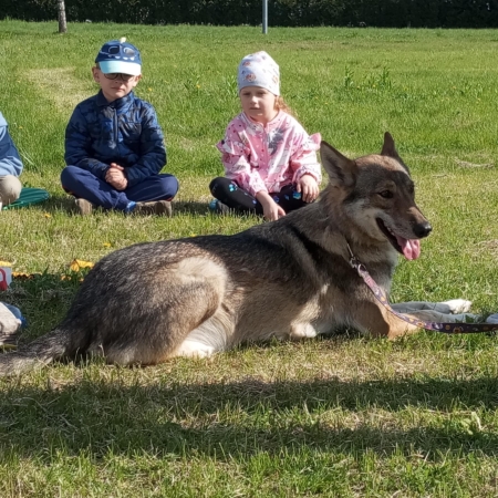 Dogoterapia
