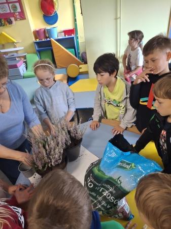 KWIATY ZA ELEKTROGRATY